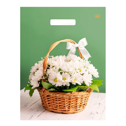 Пакет ПЭ с вырубной ручкой 31x40+6см (х50) (Идеальный подарок), ВУР66660