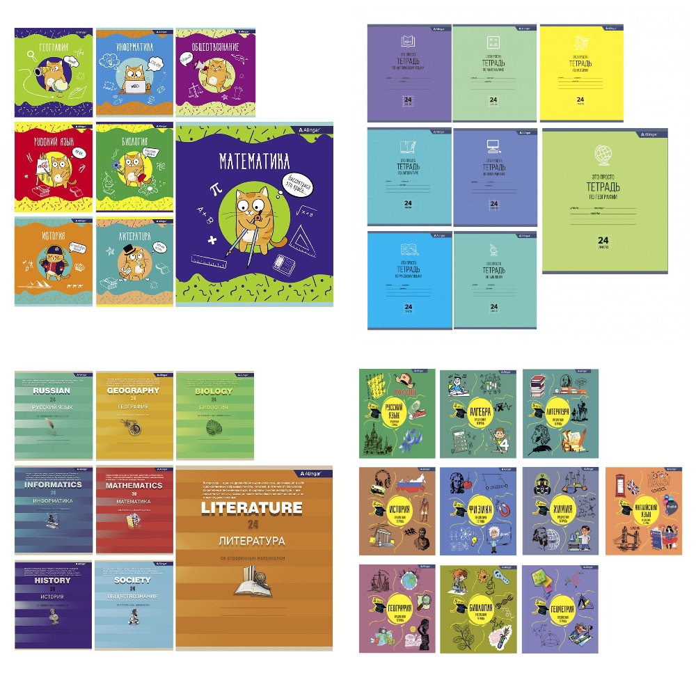 Тетрадь предметная А5, 24 листа, ассорти