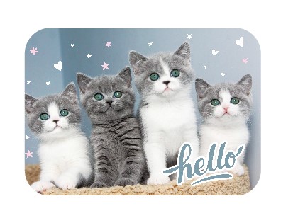 Настольное покрытие для лепки 430;320 мм (50) (НПД-21, МИЛАШКИ 2021), НПД-21