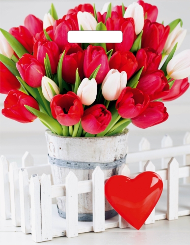 Пакет ПЭ с вырубной ручкой 31х40 (60) , (Белиция), ВУР55115