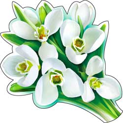 f20c1378-14c0-11e9-89a2-1cc1dee987cb_819c02ce-14c4-11e9-89a2-1cc1dee987cb.resize1