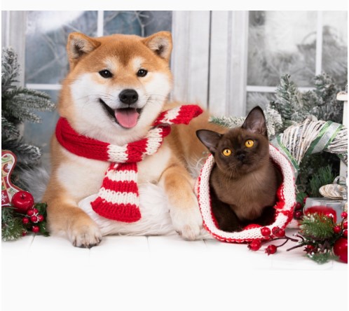 Алмазная мозаика, 30х40 см, Корги и котик, 30 цветов, НД-7638