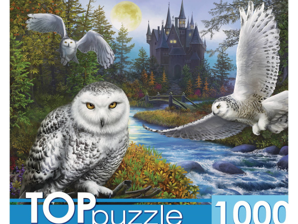TOPpuzzle. ПАЗЛЫ 1000 элементов. Магическая сова и замок, Ф1000-9941