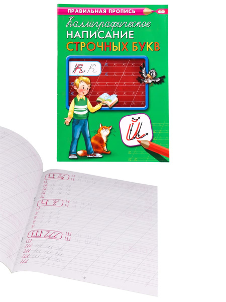 Пропись А4 КАЛЛИГРАФИЧЕСКОЕ НАПИСАНИЕ СТРОЧНЫХ БУКВ (ПР-9317) 8л., обл.-цветная мелов.бумага